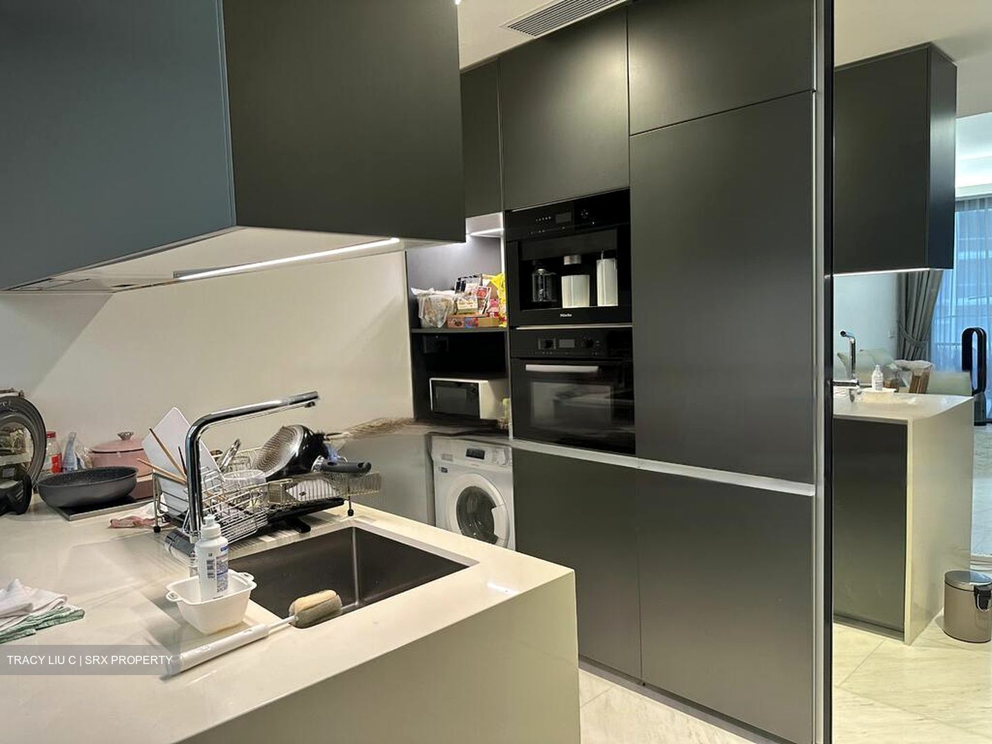 Cairnhill Nine (D9), Apartment #473415841